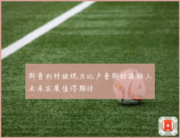 斯普利特被视为比卢普斯的接班人未来发展值得期待