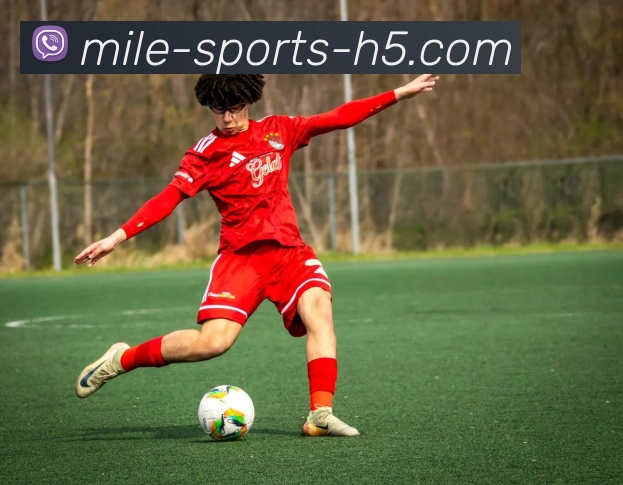 米乐体育平台生态图