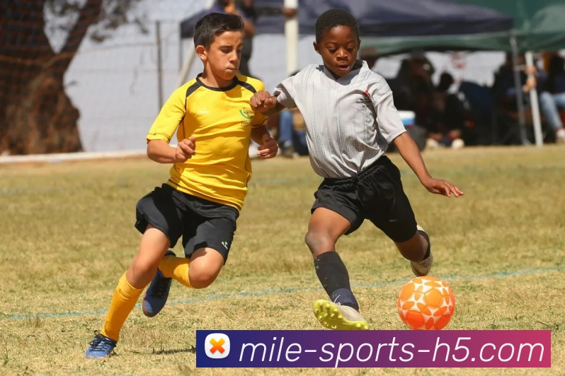 米乐体育APP 封面图